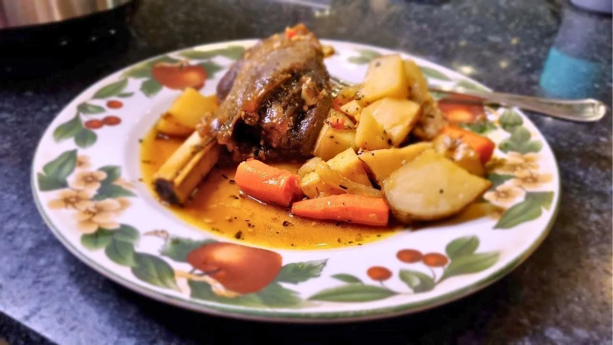 Venison Shank Slow Cooker Recipe